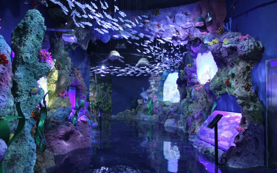 Jakarta Aquarium