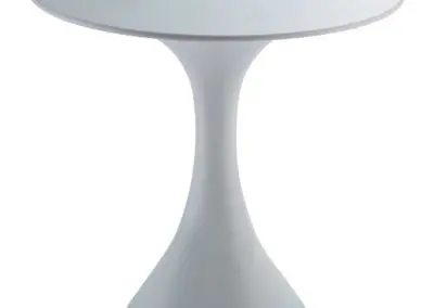 T10H4 Round Table